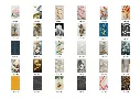 7.webp