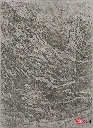 Untitled design (17).webp