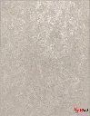 Untitled design (19).webp