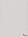 Untitled design (16).webp