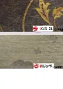 8.webp