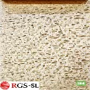 fabric_2905_6x6in_300dpi.webp