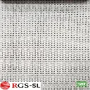 fabric_1293_6x6in_300dpi.webp